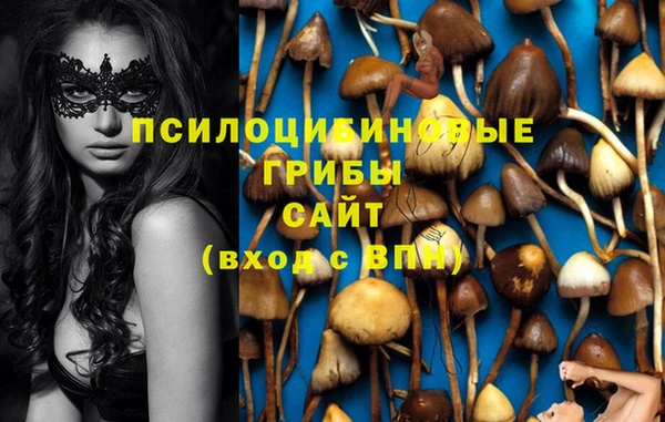 метадон Армянск