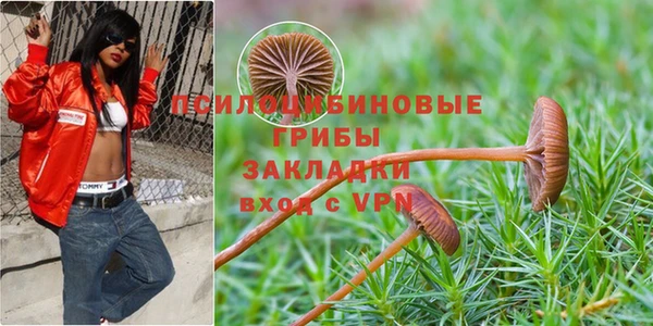 метадон Аркадак